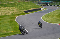 cadwell-no-limits-trackday;cadwell-park;cadwell-park-photographs;cadwell-trackday-photographs;enduro-digital-images;event-digital-images;eventdigitalimages;no-limits-trackdays;peter-wileman-photography;racing-digital-images;trackday-digital-images;trackday-photos